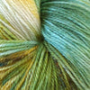 Enchant - Kingfisher