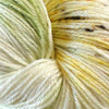 Lustrous - Spring Catkins