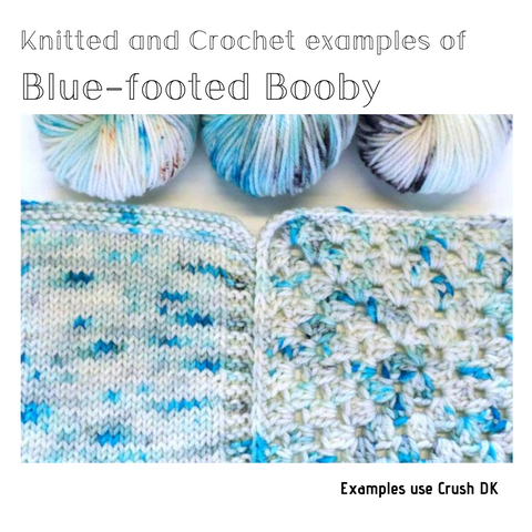 Blue-footed Booby sample <br> ***Discontinued***