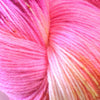 Bonnie - Tropical Hibiscus