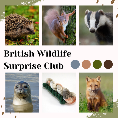 British Wildlife Surprise Club
