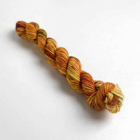 Coorie 20g - Llyn Cerrig Bach Hoard - August 2025 - Anglesey