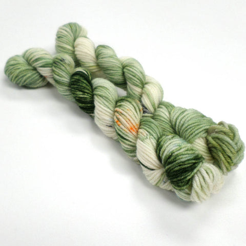 Coorie 20g - Puffin Colonies - November 2025 - Pembrokeshire