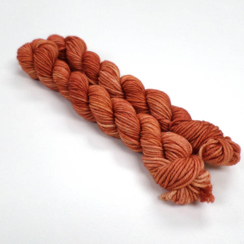 Coorie 20g - Red Lady - February 2025 - Glamorgan