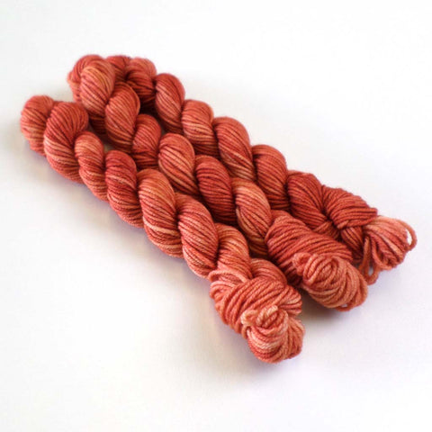 Coorie 20g - Red Lady - February 2025 - Glamorgan