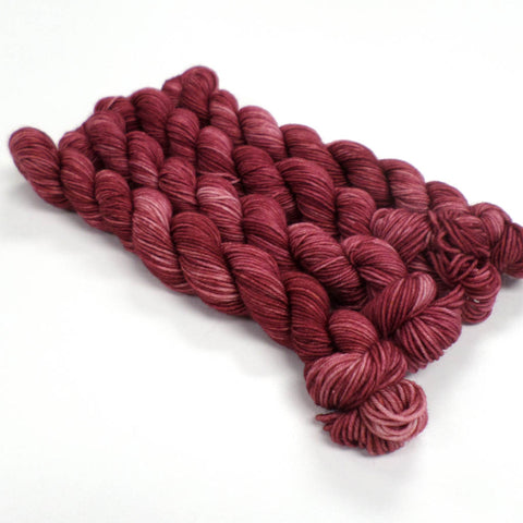 Lindisfarne Gospels - Mini Skein Club October 2025 - Northumberland - Dye to Order
