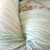 Crush - British Wildlife - Snakeslock Anemone