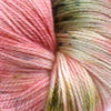 Enchant - Poinsettia