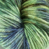 Enchant DK - Enchanted Forest