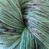 Flockly - Enriquillo