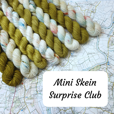 Mini Skein Surprise Club