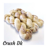 Dodo Feathers - dye to order